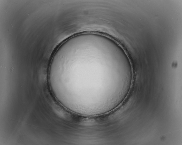 X0000101691505200807241357