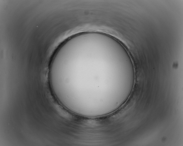 X0000101691507200807241357