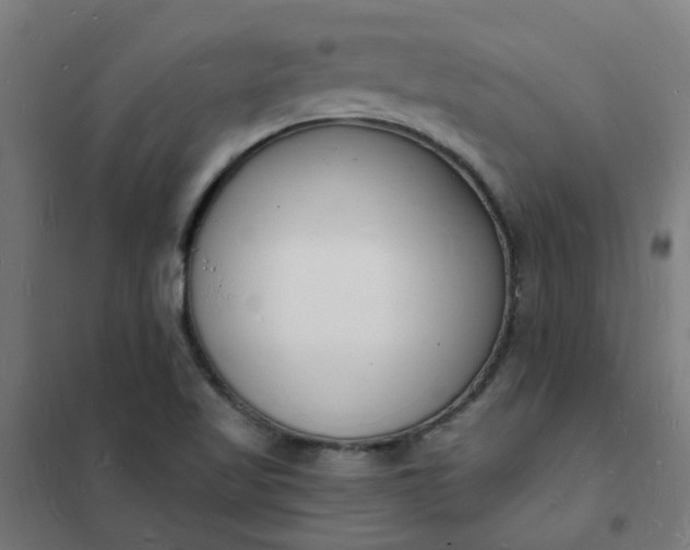 X0000101691509200807241357