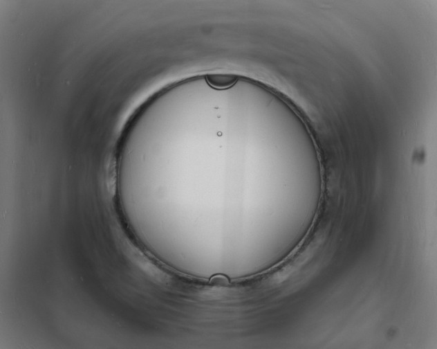 X0000101691510200807241357