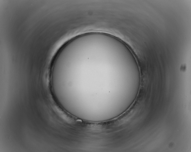 X0000101691511200807241357