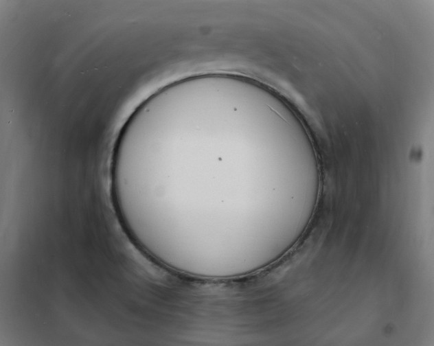 X0000101691512200807241357