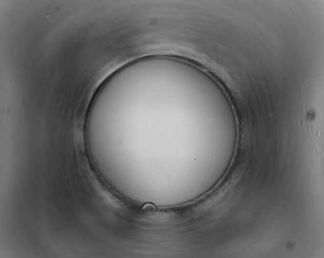 X0000101691513200807241357