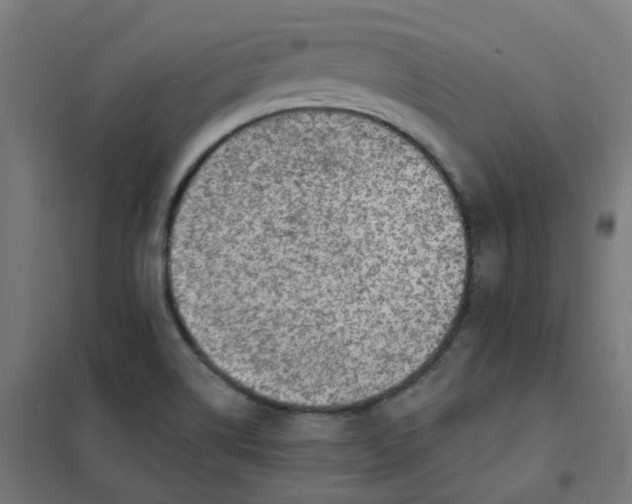 X0000101691514200807241357