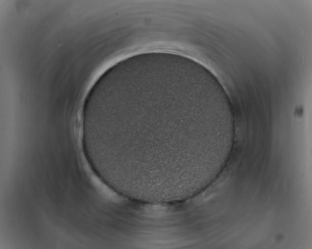 X0000101691515200807241357