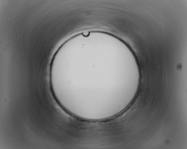 X0000101691516200807241357