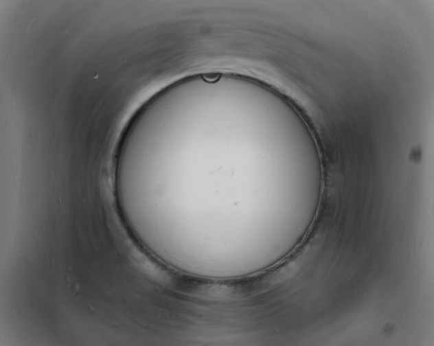 X0000101691517200807241357