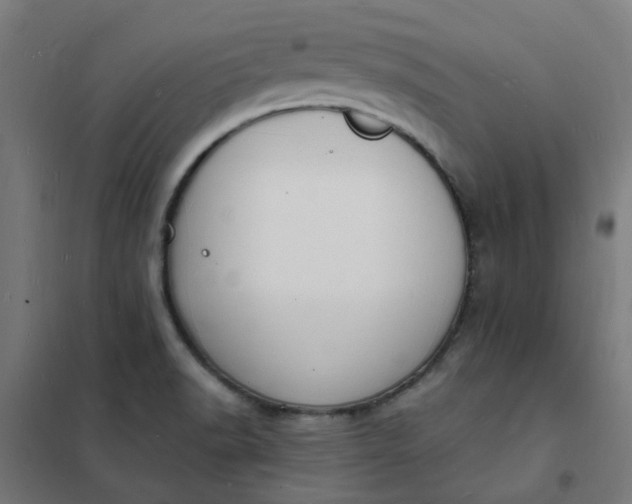 X0000101691518200807241357