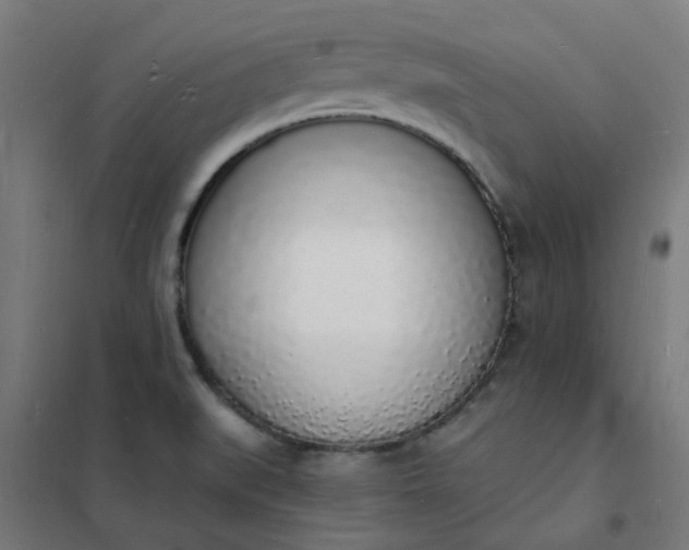 X0000101691519200807241357