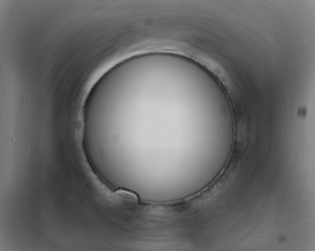 X0000101691520200807241357