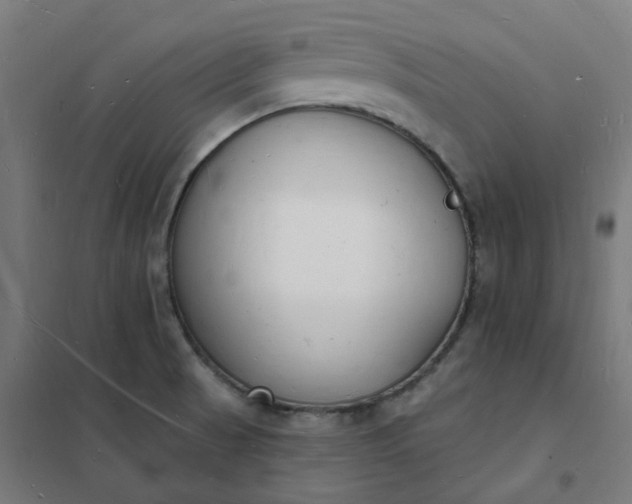 X0000101691521200807241357