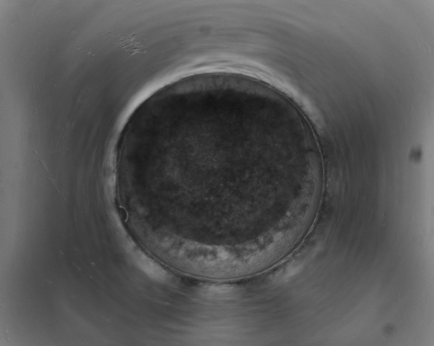 X0000101691522200807241357