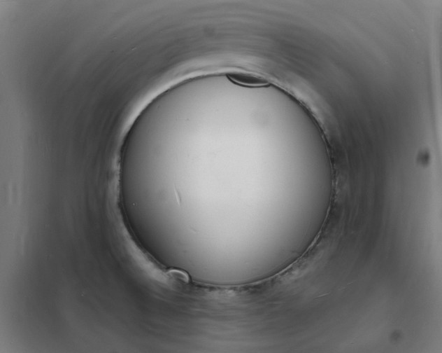 X0000101691524200807241357