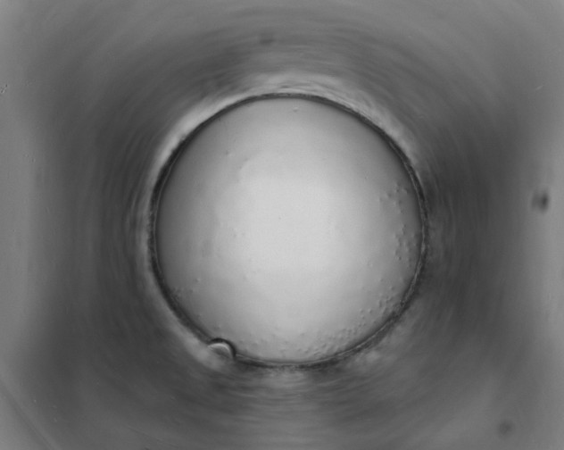 X0000101691525200807241357