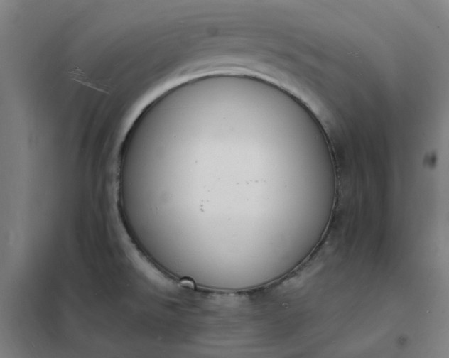 X0000101691526200807241357