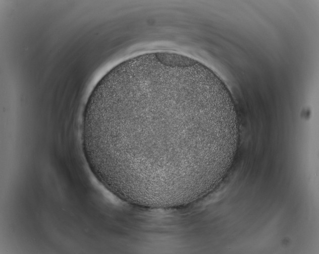 X0000101691527200807241357