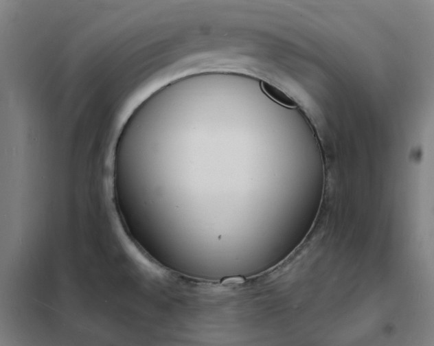 X0000101691528200807241357