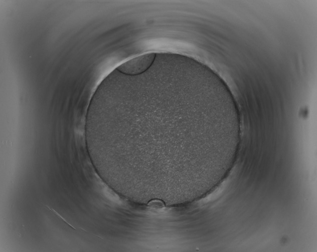 X0000101691529200807241357