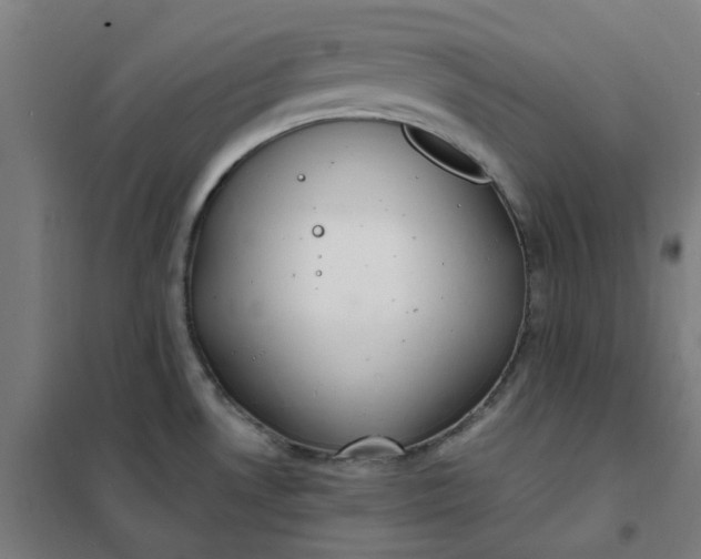 X0000101691530200807241357