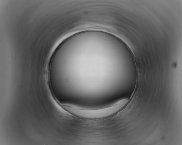 X0000101691531200807241357