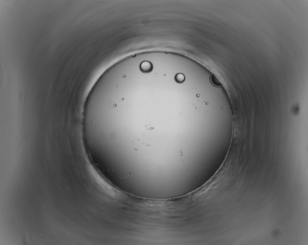 X0000101691532200807241357