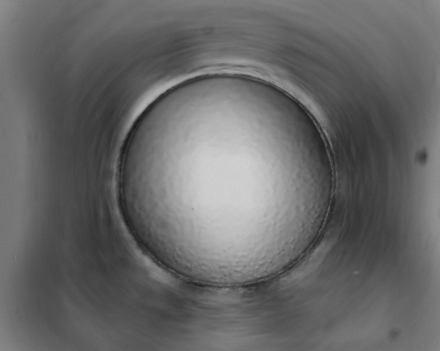 X0000101691533200807241357