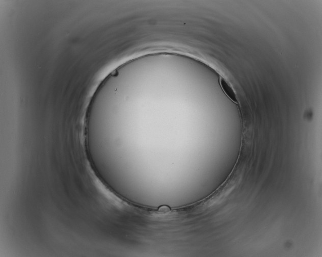 X0000101691535200807241357