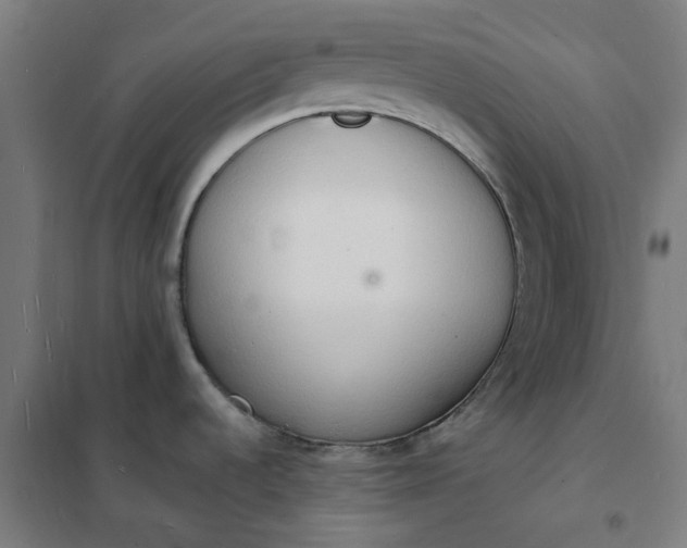 X0000101691536200807241357