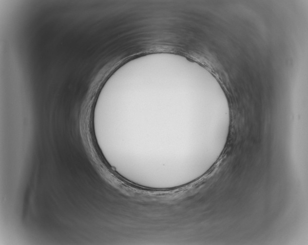 X0000101690001200807311421