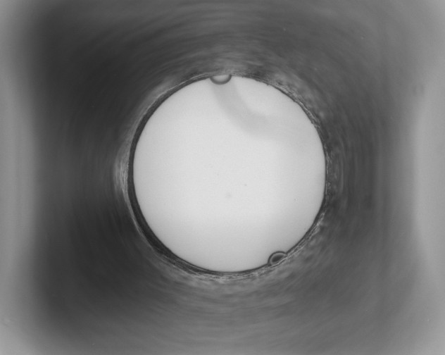 X0000101690003200807311421