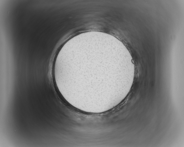 X0000101690004200807311421