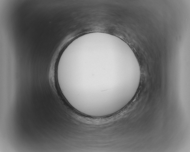 X0000101690006200807311421