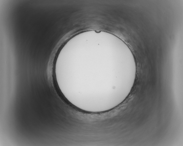 X0000101690007200807311421