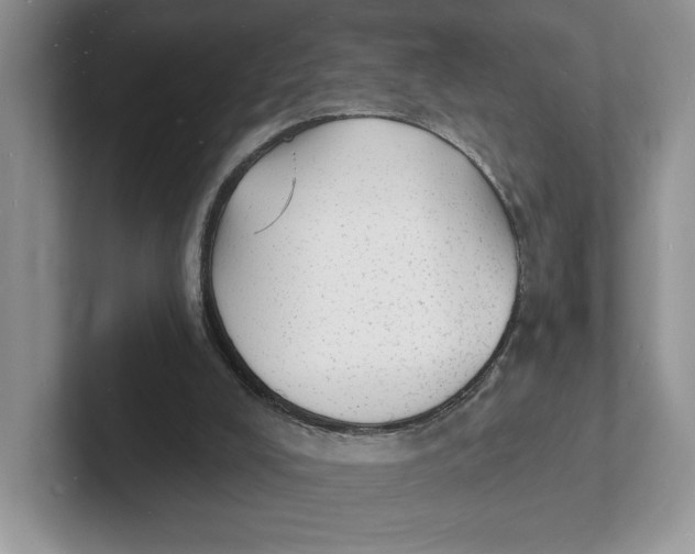 X0000101690008200807311421