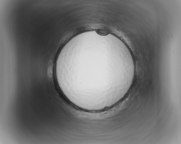 X0000101690010200807311421