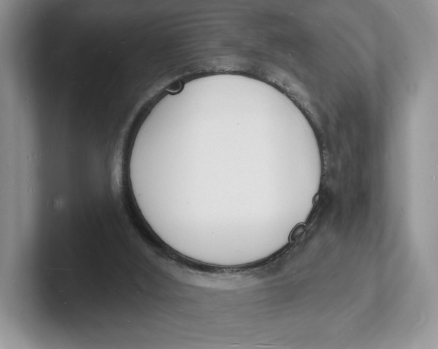 X0000101690012200807311421