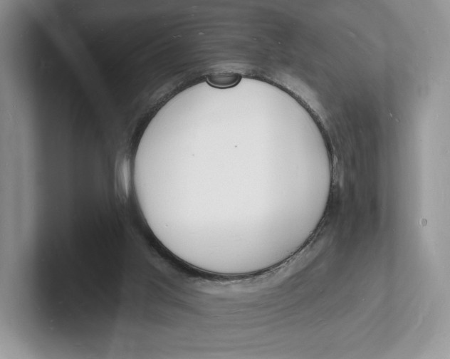 X0000101690013200807311421