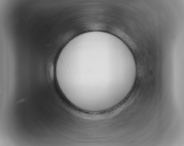 X0000101690014200807311421