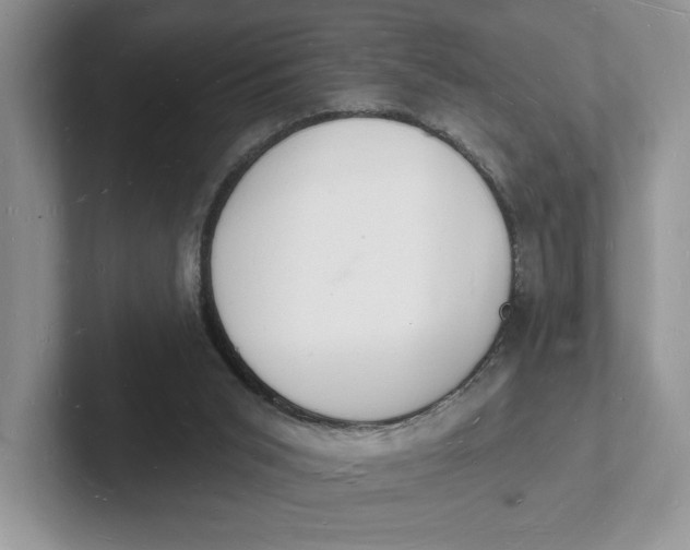 X0000101690015200807311421