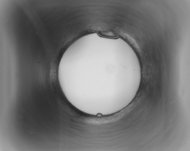 X0000101690017200807311421