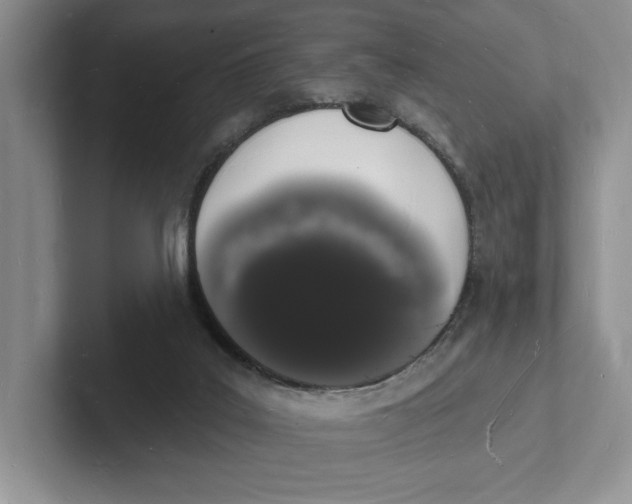 X0000101690019200807311421