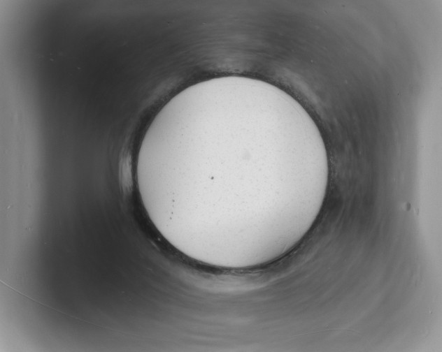 X0000101690020200807311421