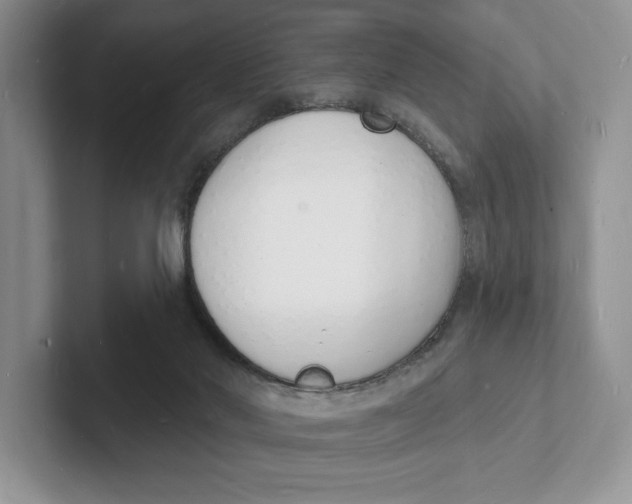 X0000101690022200807311421