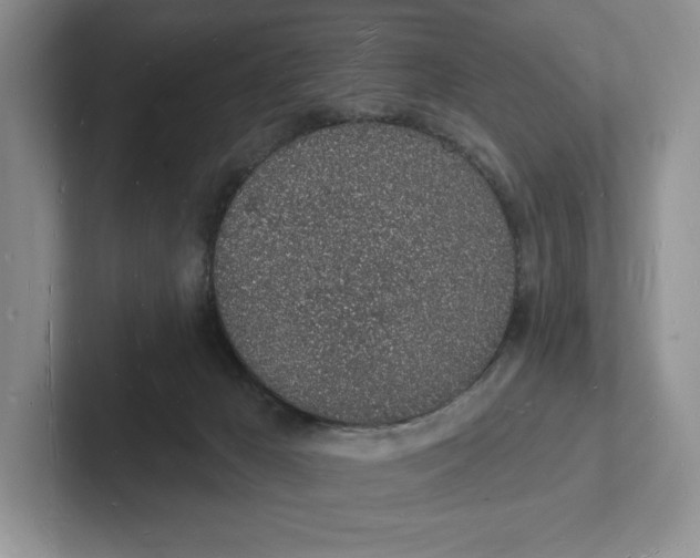 X0000101690029200807311421