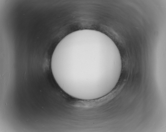 X0000101690033200807311421