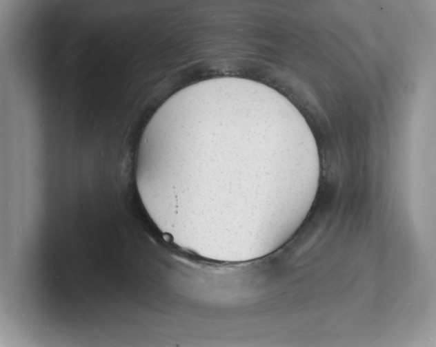 X0000101690036200807311421