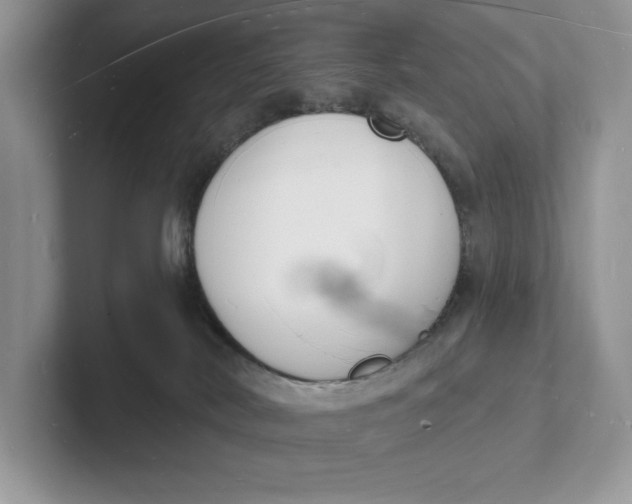 X0000101690038200807311421