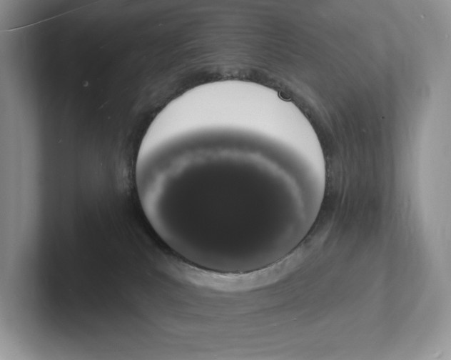 X0000101690039200807311421