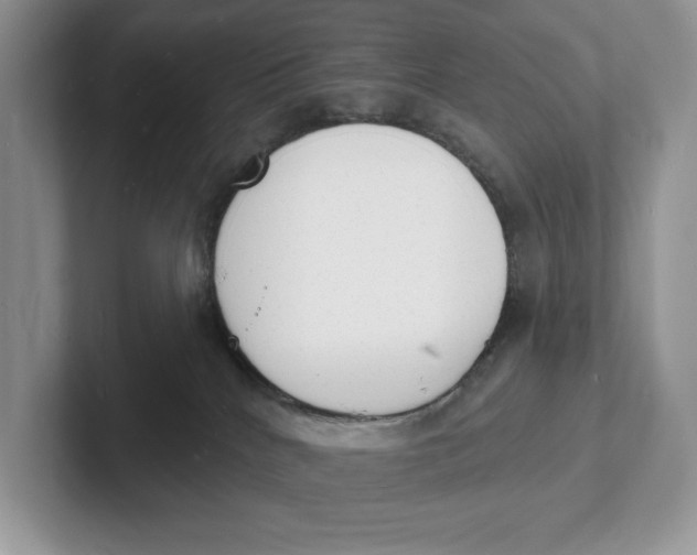 X0000101690040200807311421