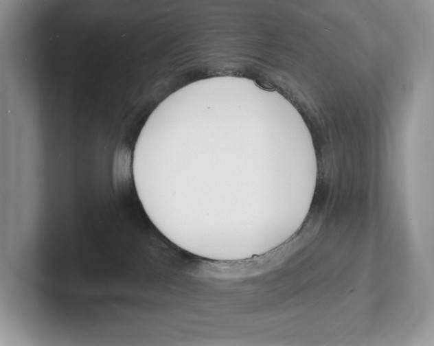 X0000101690041200807311420